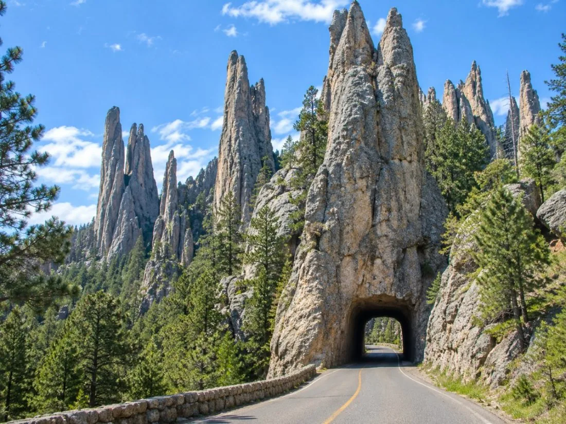Hautes aiguilles de granit le long de la Needles Highway dans Custer State Park